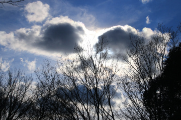 skull face sky