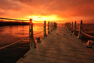 İskelecik 02 - Eskikaraağaç