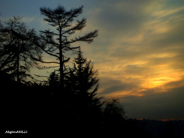 huzur