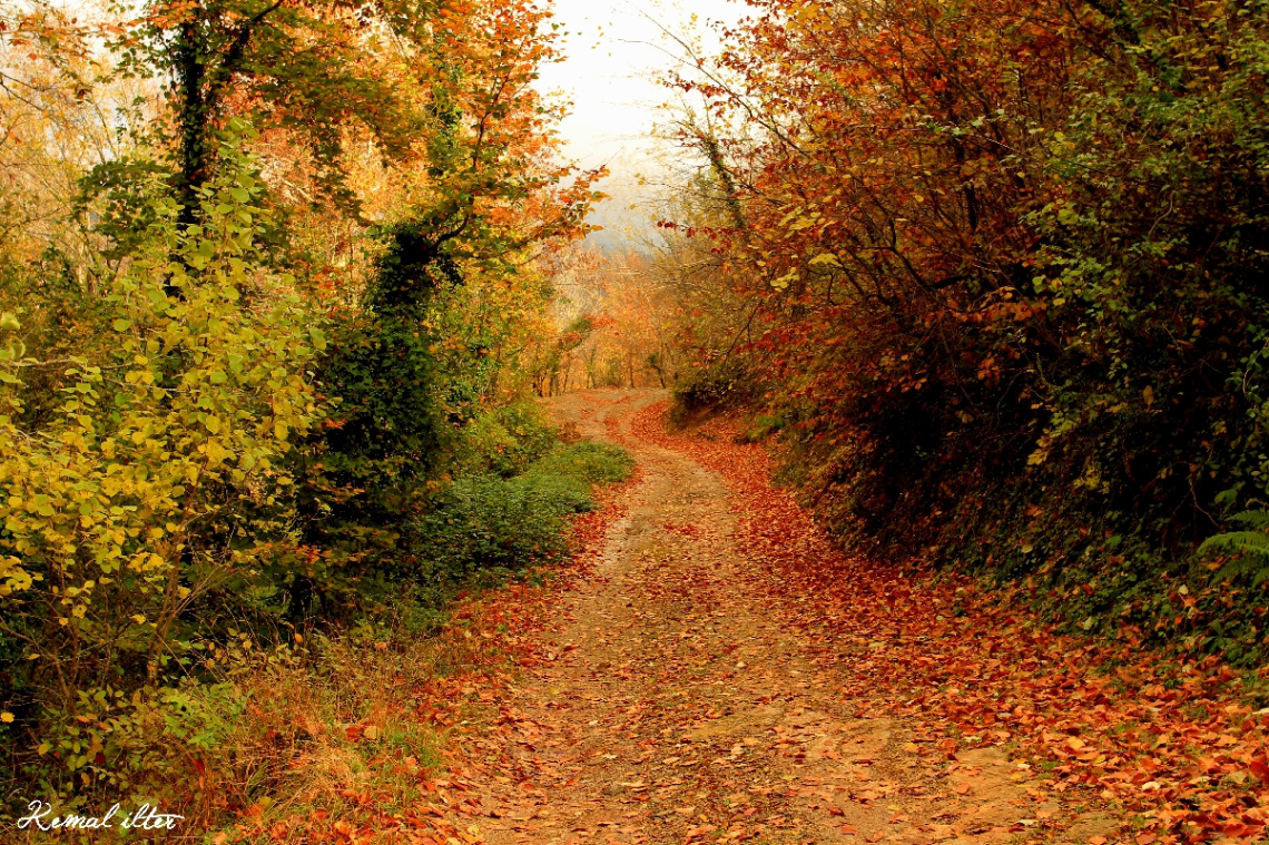 Doğa 2
