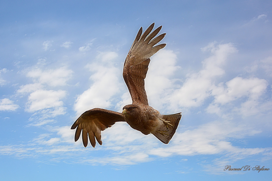 Spinning in the air