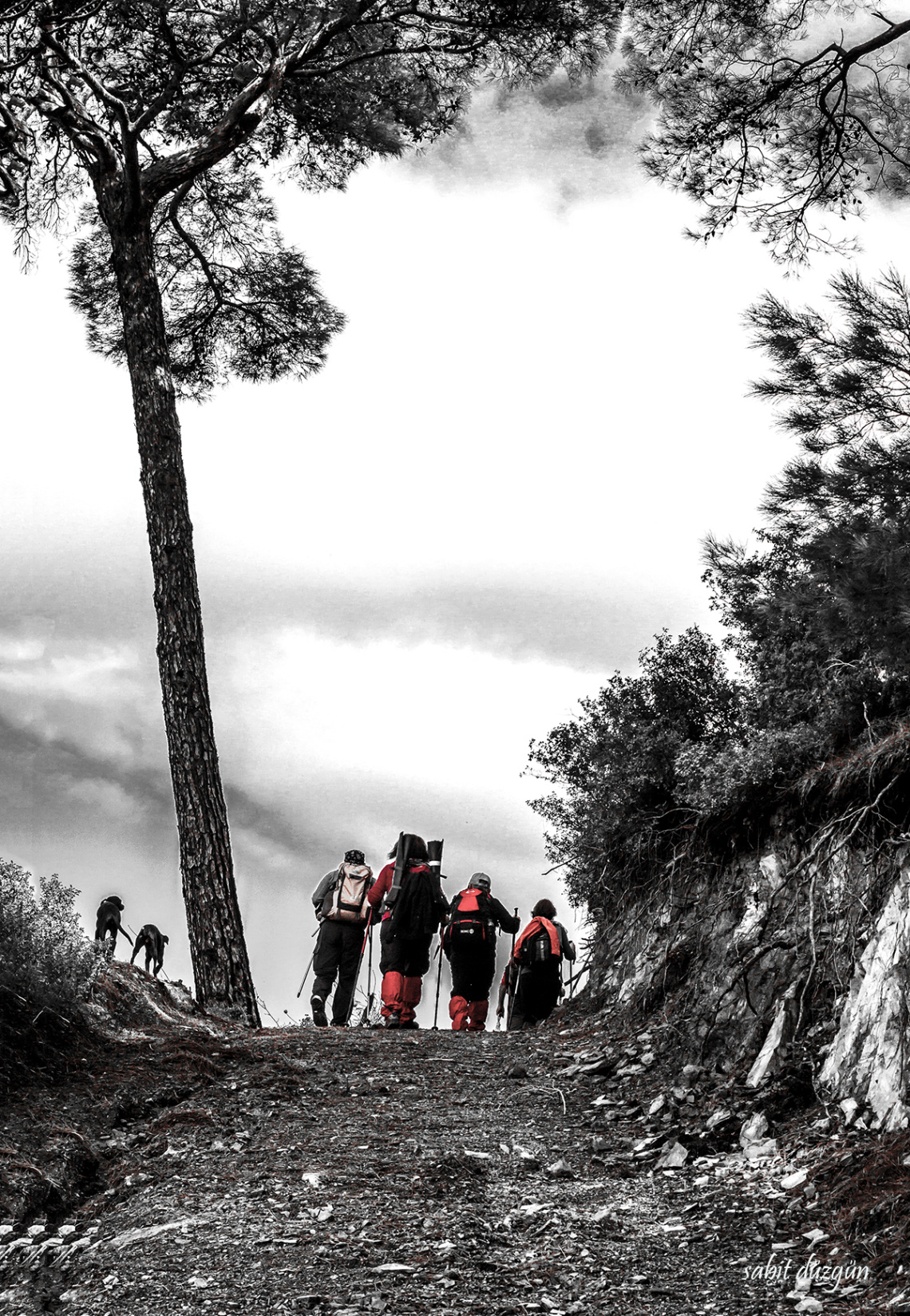 Trekking..