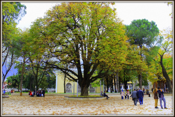 Tophane, BURSA