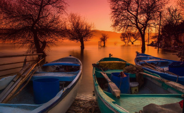 Gölyazı-2016