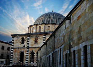 Cami.