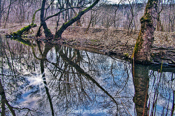  water surface .