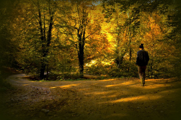 YOL / CU____________.!