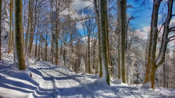 Snowy roads