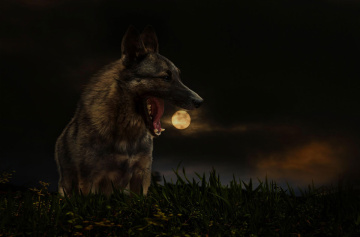 Before it swallows the moon