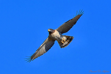  Flying high