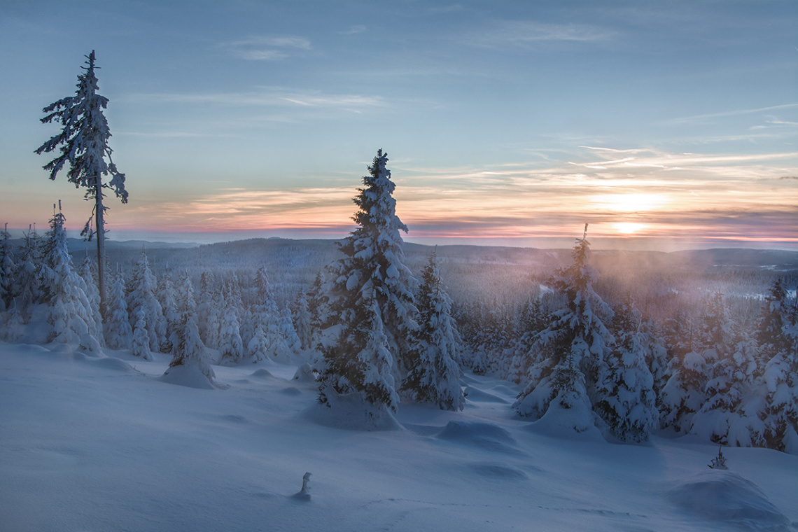 Winter Evening Harz Mountain