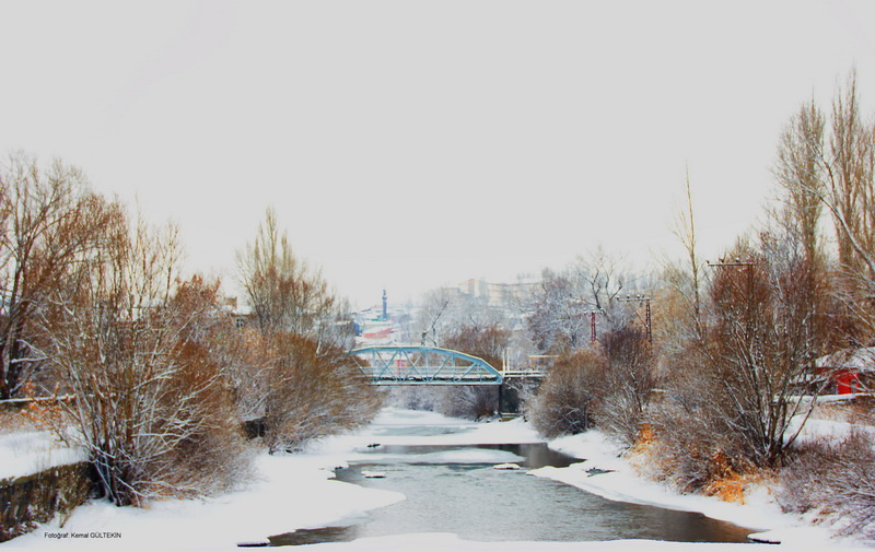 beyaz