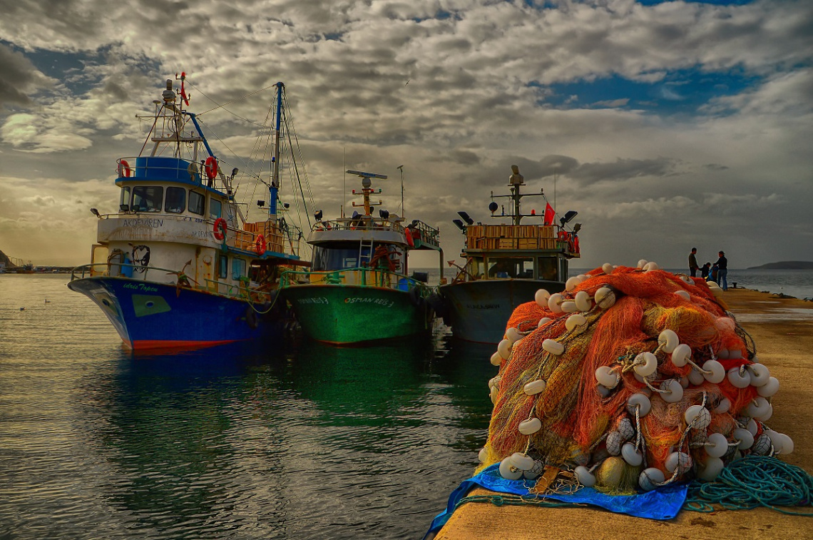 OSMAN REİS............