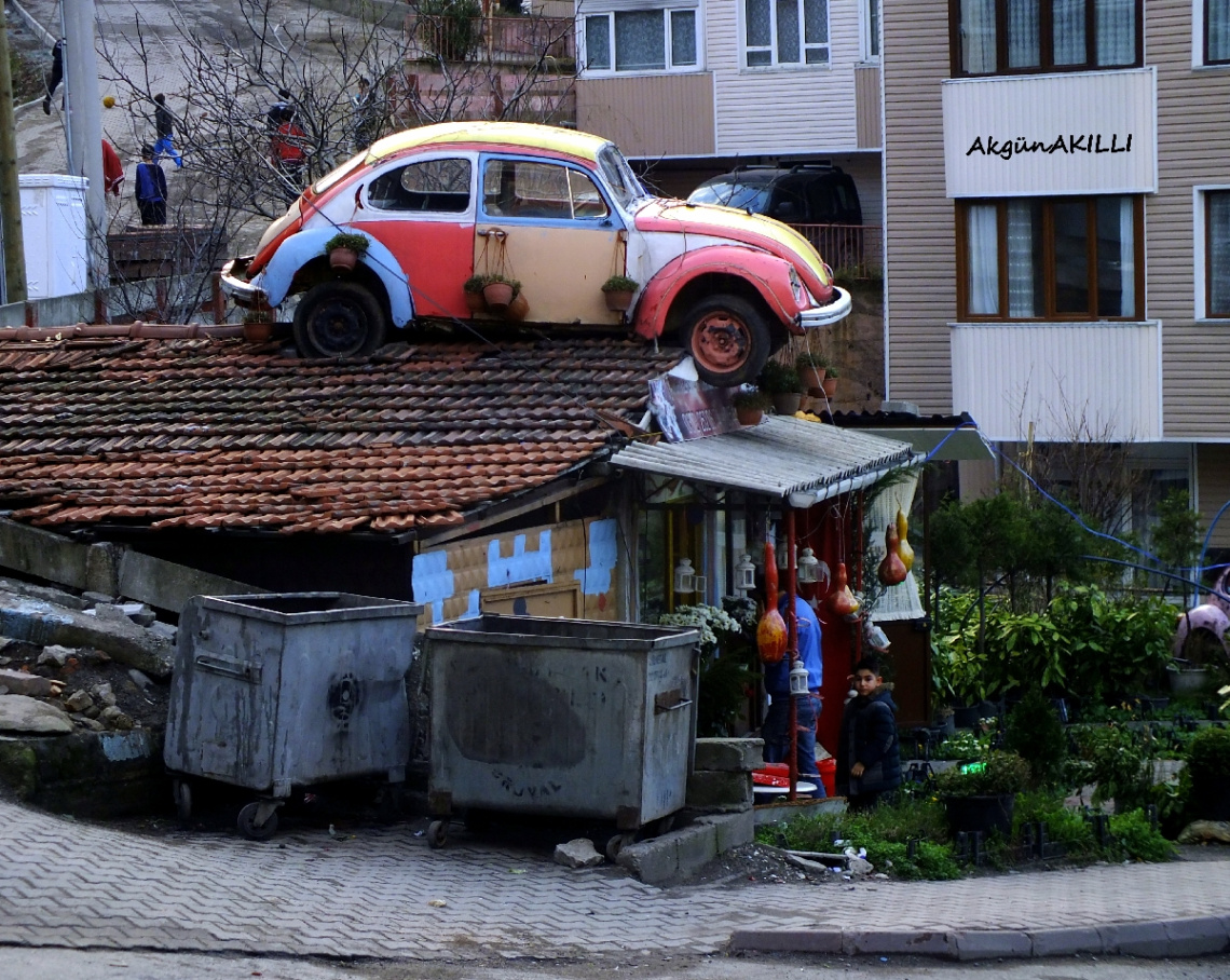 ÇATIDAKİ MİSAFİR