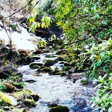 Doğa da yolculuk