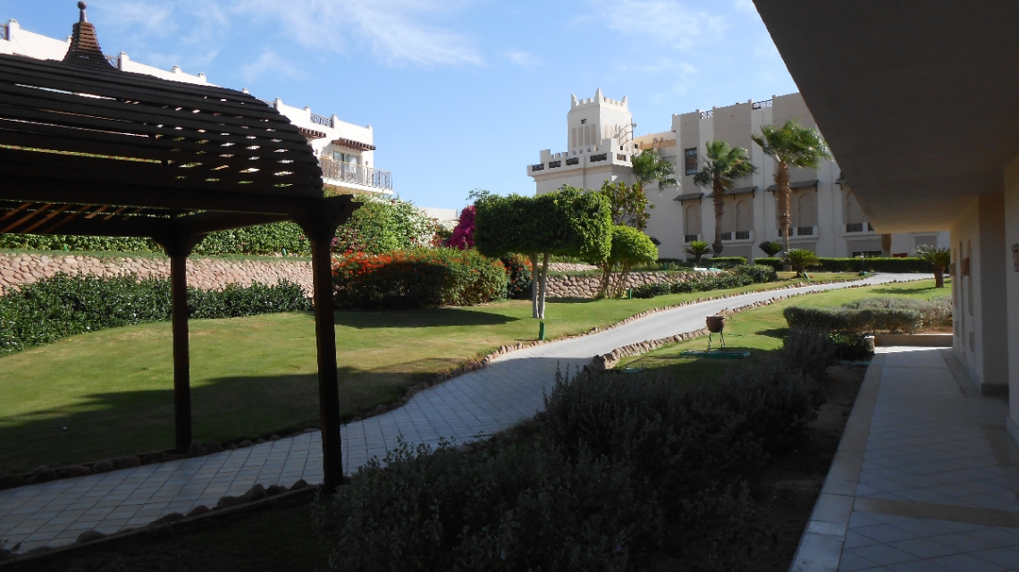 Egypt - Sharm alsheikh