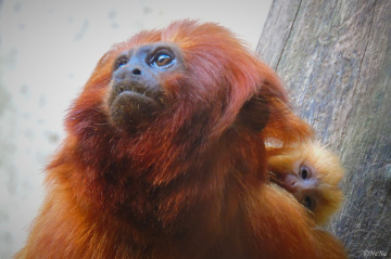 Mother and her baby