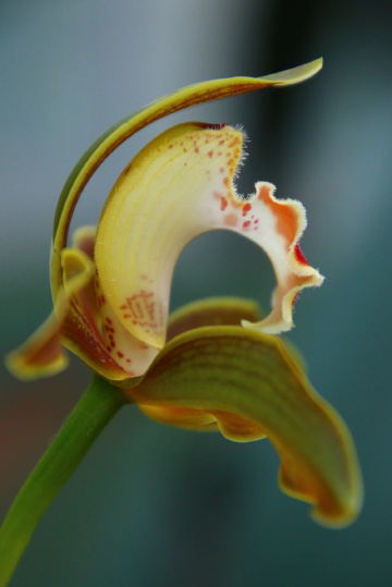 profile…