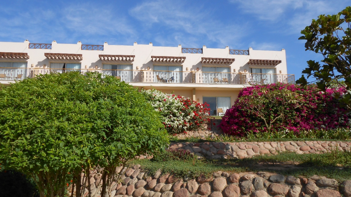 Egypt - Sharm alsheikh