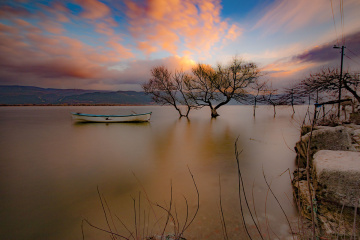 Gölyazı 11