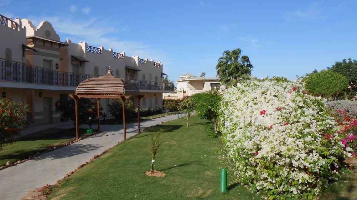 Egypt - Sharm alsheikh