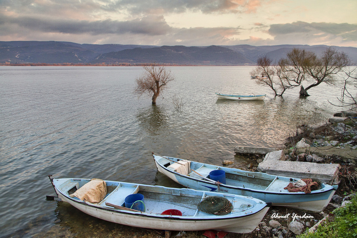 Gölyazı