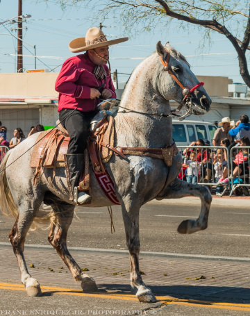 Horses At A Non-Mechanized Parade