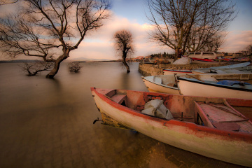 Gölyazı 13