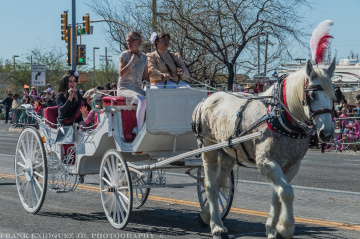 Horse And Buggie At A Non-Mechanized Parade