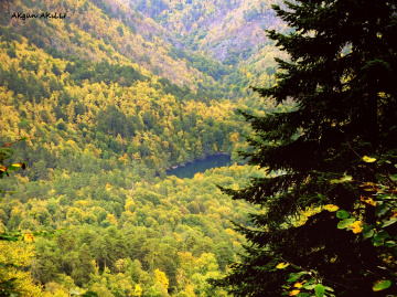 YEDİGÖLLER