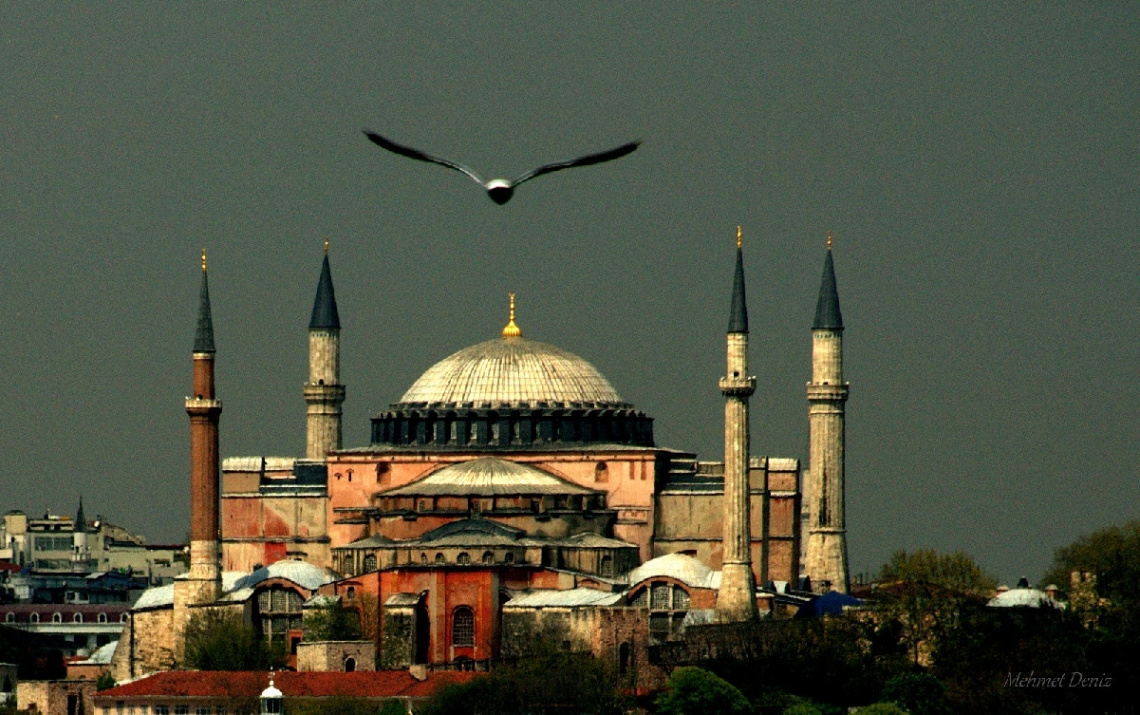 Özgürlük...