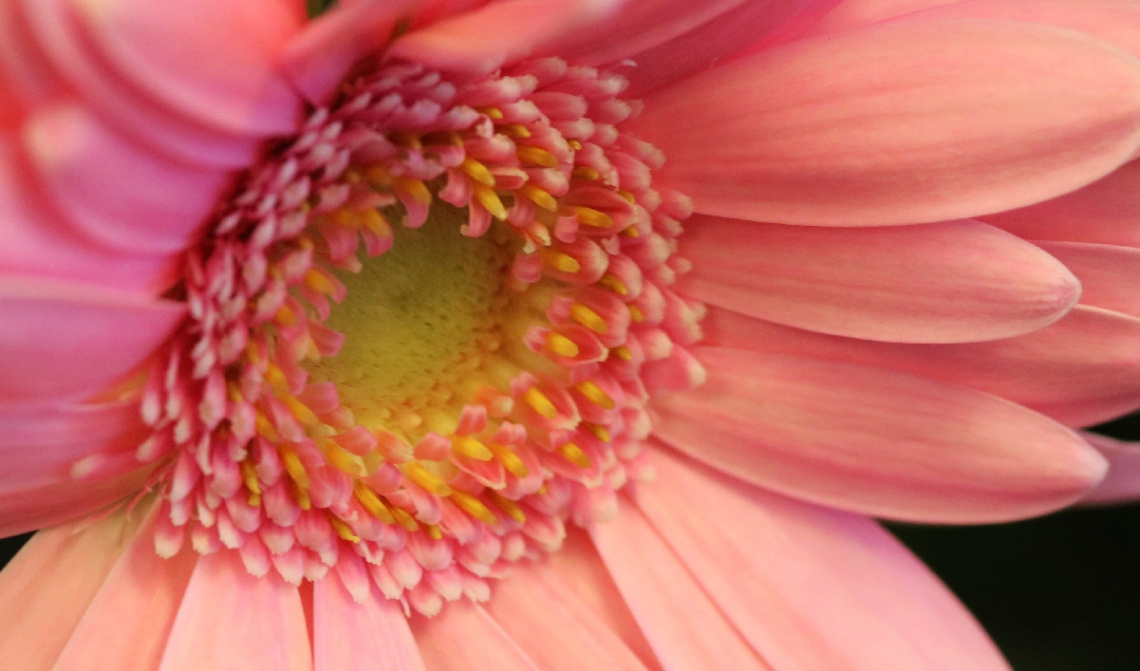 Close to yellow and pink...