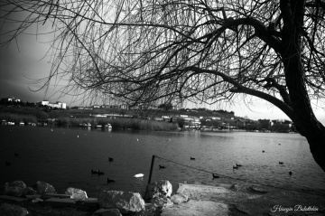 Siyah&Beyaz