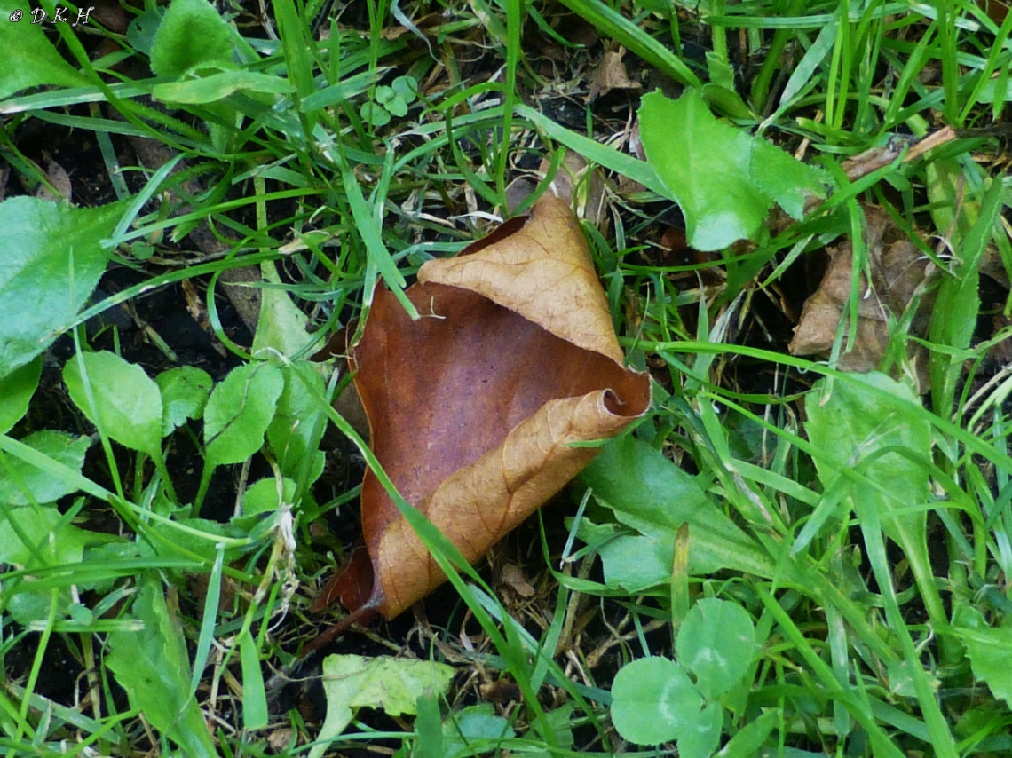 Überbleibsel