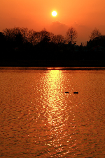 sunset lake