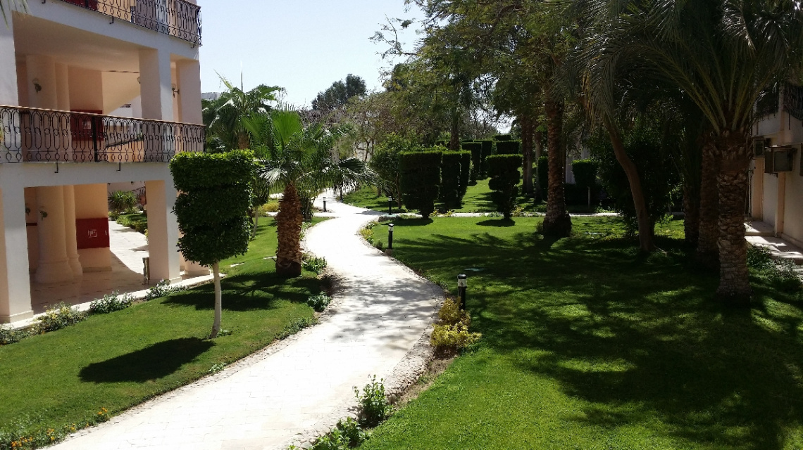 Egypt Hurghada 