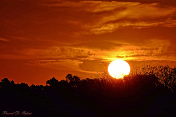 Sunset in the field III