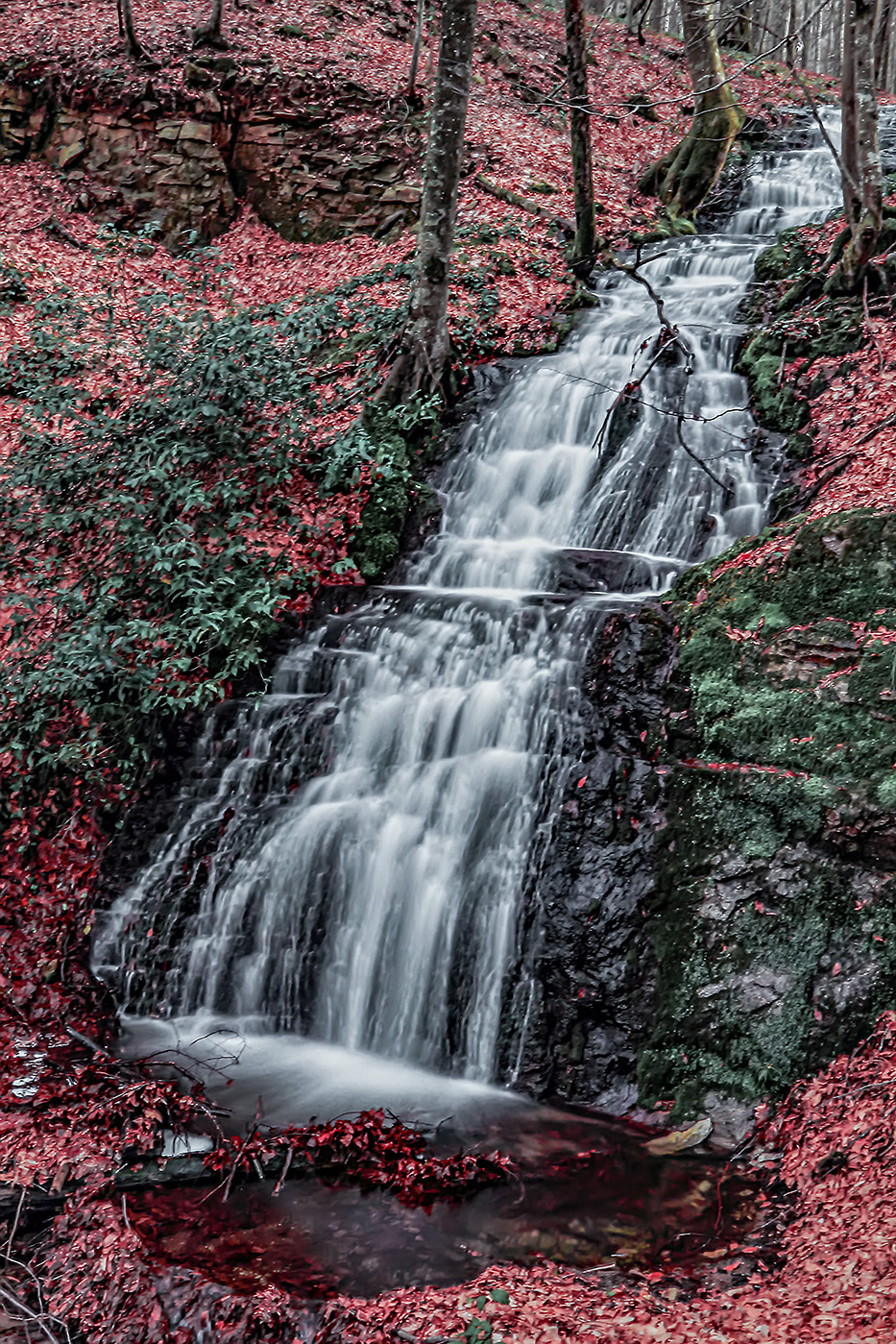 Çataldağ Yolundan 03