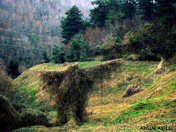 HAYALET