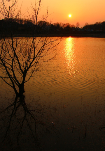 sunset…