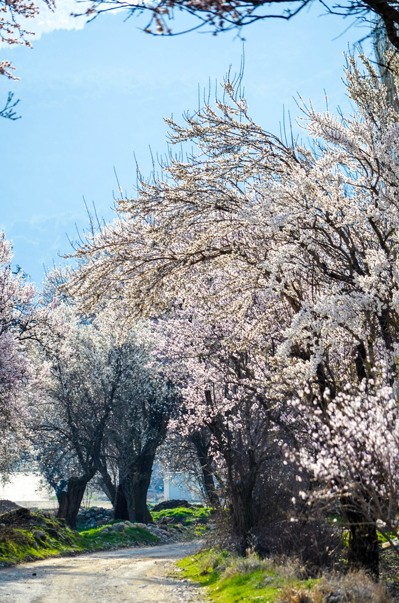 Serinhisar / Denizli