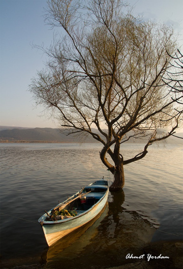 Gölyazı