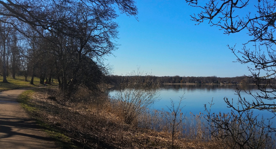 Today by the lake...