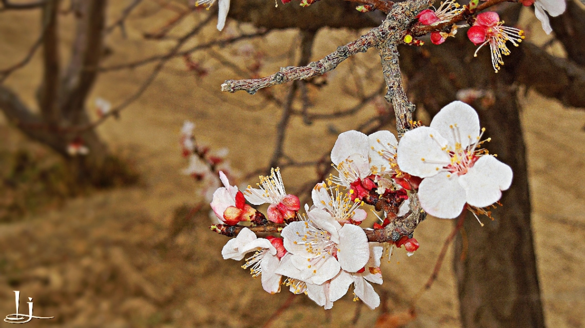Spring is Here....