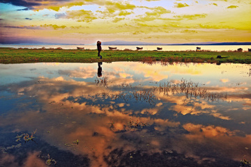 Bandırma Bereketli 09