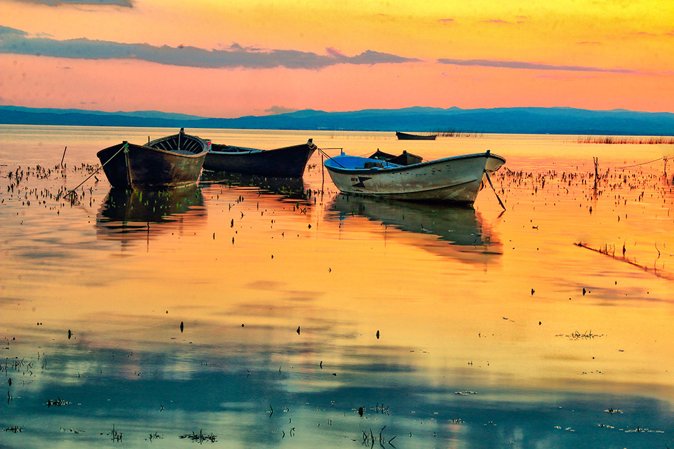 Bandırma Bereketli 16