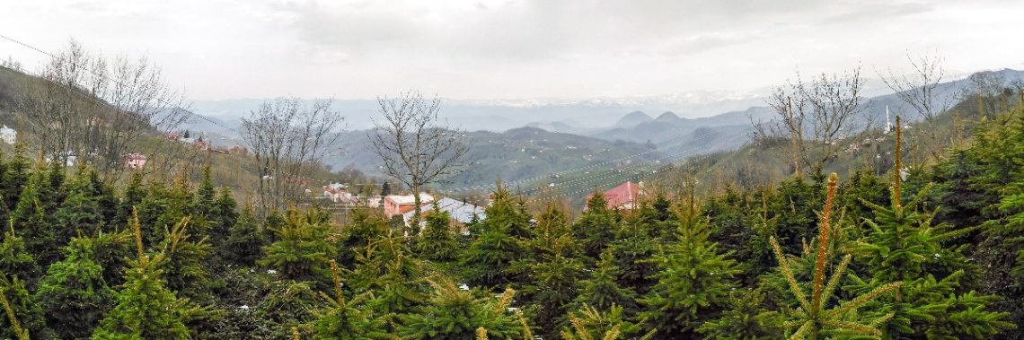 İleri görüş