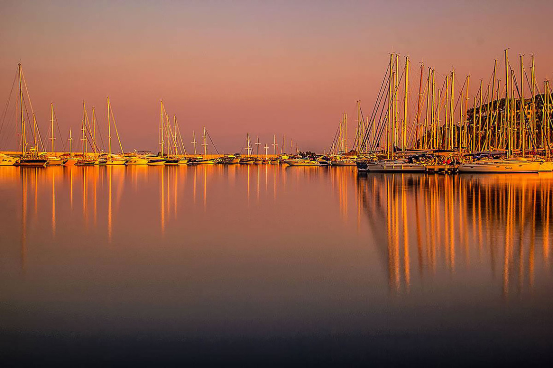 Reflection