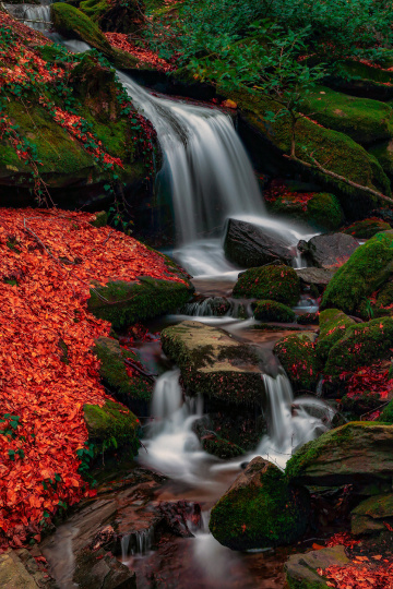 Suuçtu Sol Yan Dere