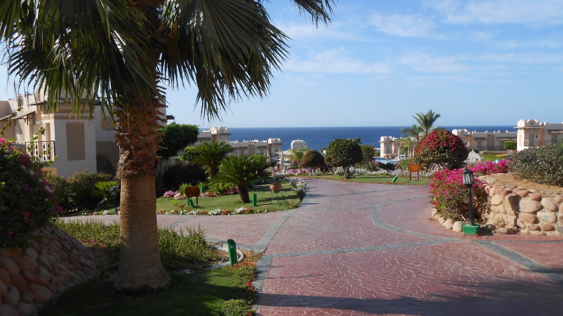 Egypt - Sharm alsheikh